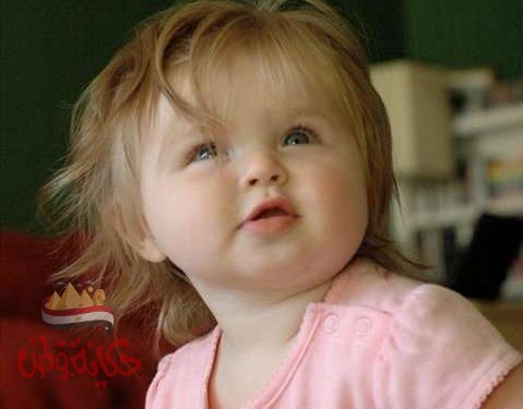 (فُــــولَاذٌ مِـنْ لَــحْــمٍ وَدَمٍّ)