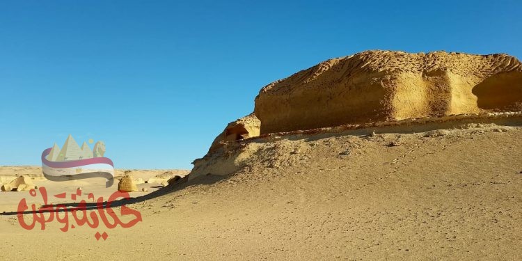 وزيرة البيئة : إشادة عالمية بموقع وادى الحيتان والقائمين عليه