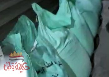 مبيعات وهمية