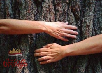 هي وكبريائي