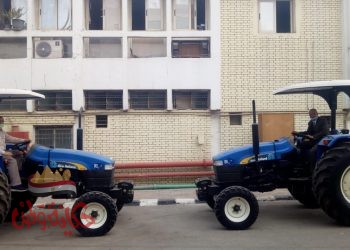 التضامن الاجتماعي