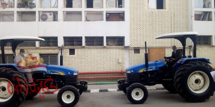 التضامن الاجتماعي