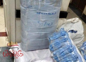 النائبة مايسة