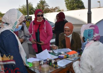 افتتح د خالد أبو شنب ، القائم بأعمال عميد الكلية مهرجان الأسبوع الفني الثاني بصيدلة عين شمس