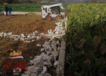المنيا : إزالة 17 حالة تعد بالبناء على الاراضي الزراعية بمركز ديرمواس