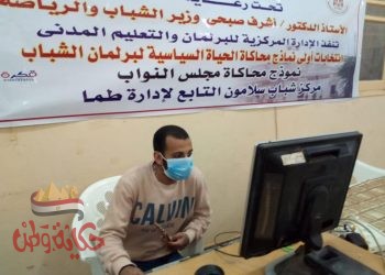 التصويت الإلكتروني