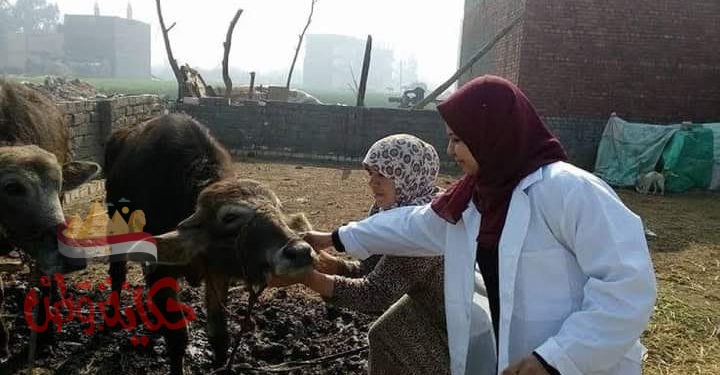 الطب البيطري