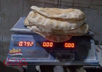 البحيرة : تحرير 27 محضر تمويني ضد مخابز بلدية بنطاق مركزي كفر الدوار وشبراخيت .