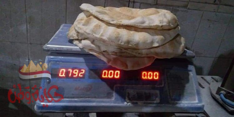 البحيرة : تحرير 27 محضر تمويني ضد مخابز بلدية بنطاق مركزي كفر الدوار وشبراخيت .