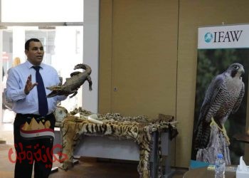 تكريم طبيب بيطري مصري بالامارات بجائزة الشارقة للعمل التطوعي