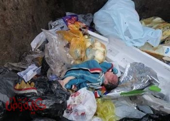 العثور علي طفل حديث الولادة بصندوق قمامة أمام مسجد في نجع حمادي