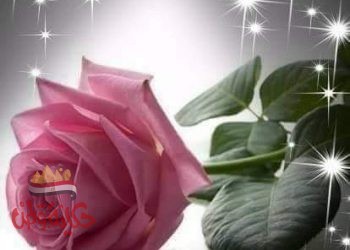 صورة بهاوردة القسي