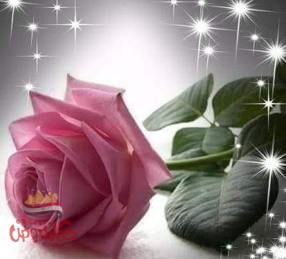 صورة بهاوردة القسي