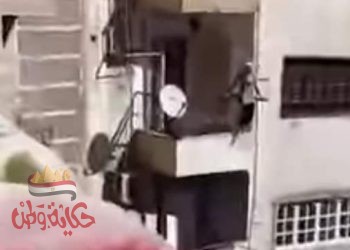 فتاه تحاول الإنتحار من شرفة منزلها