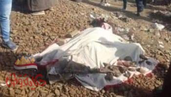 عاجل : مصرع شخصين فى حادث تصادم  قطار في مدينة قويسنا