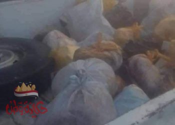 ضبط 158 كيلو لحوم فاسدة بمطعم شهير في الأقصر