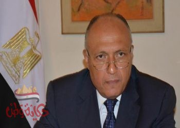 الوزير شكري يتناول العلاقات الثنائية مع نظيره الكرواتي رادمان