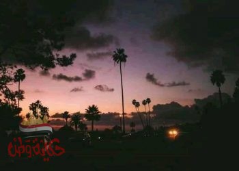 شمس ،،،،الامانة