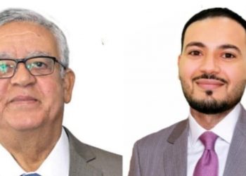 نائب رئيس مصر