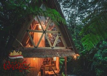 وزيرة الأحلام