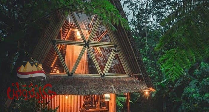 وزيرة الأحلام