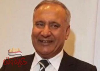 الاستراتيجيات