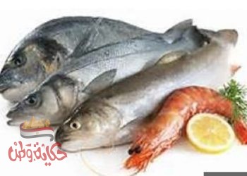 أسعار الأسماك