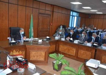 محافظ المنيا