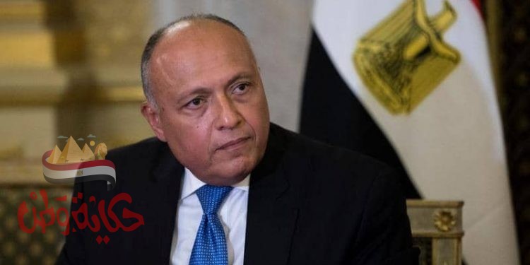 الرئيس السيسى