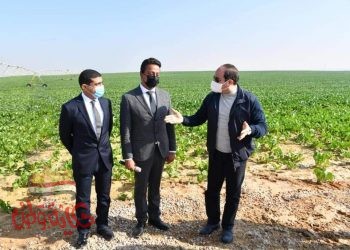 مشروعات "السيسى"