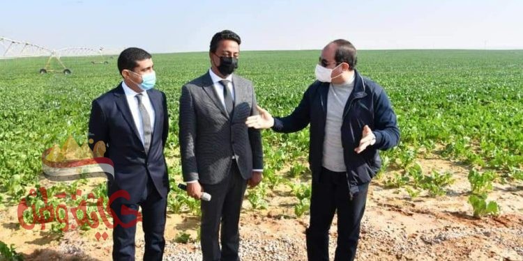 مشروعات "السيسى"