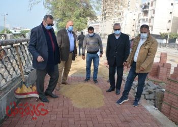 محافظ القليوبية