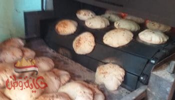 تموين المنيا