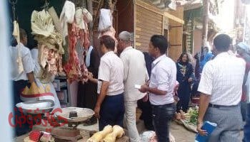 بيطري المنيا