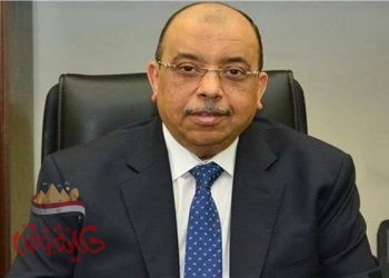 وزير التنمية المحلية