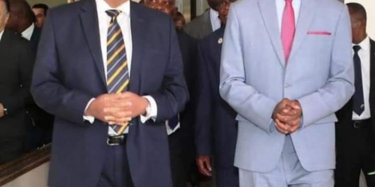 الرئيس الزامبي يستقبل السفير المصري في لوساكا بمناسبة إنتهاء فترة عمله