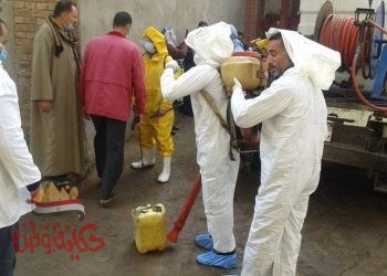 الطب البيطري تشارك فى تطهير وتعقيم 1739 موقع ومنشاة