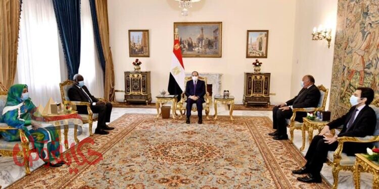 السيد الرئيس يؤكد ان مصر لم ولن تدخر جهداً تجاه دعم أشقائها الأفارقة