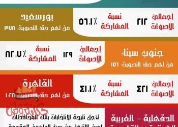 الشباب والرياضة تعلن نتيجة المرحلة الثانية لإنتخابات برلمان الشباب