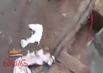 القبض على الأب صاحب واقعة تعرية طفلته في الشارع ومحاولة حرقها  بمدينة نبروه بالدقهلية