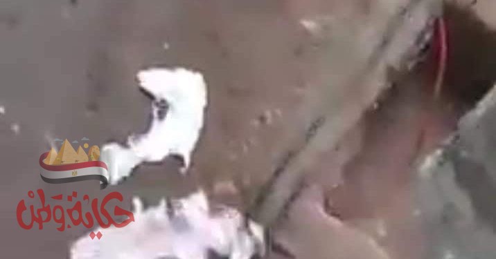 القبض على الأب صاحب واقعة تعرية طفلته في الشارع ومحاولة حرقها  بمدينة نبروه بالدقهلية