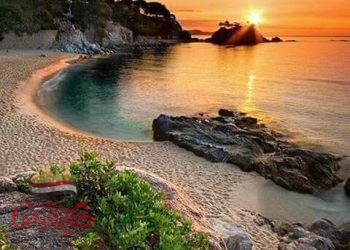 “عَهْـــدٌ وَثِيـــقٌ”