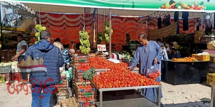 إقبال كثيف من أهالى البحر الأحمر علي معرض “مستقبل وطن” الشامل بالغردقة