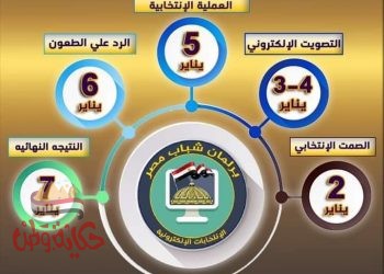 “الشباب والرياضة” بدء المرحلة الثانية لإنتخابات برلمان شباب مصر “إلكترونيا”في 13 محافظة..غدا