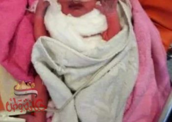 انعدام الرحمه والإنسانية العثور علي مولود بصندوق القمامه