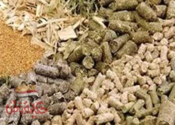 أسعار الأعلاف