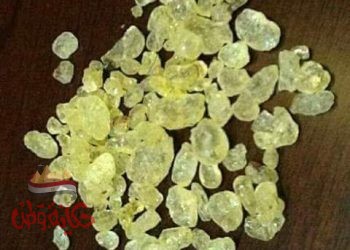 فوائد المستكة