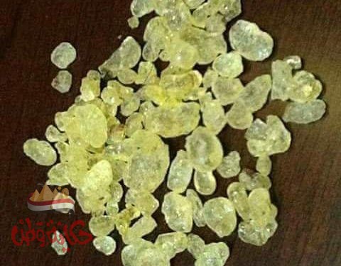 فوائد المستكة