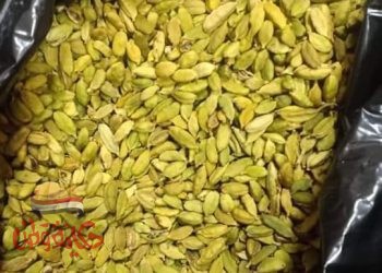 فائدة صحية لحب الهال او الحبهان