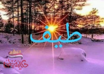 أنات أوطان _ ناجية الصغير عبد الله